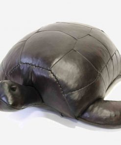 Omersa-Turtle-1