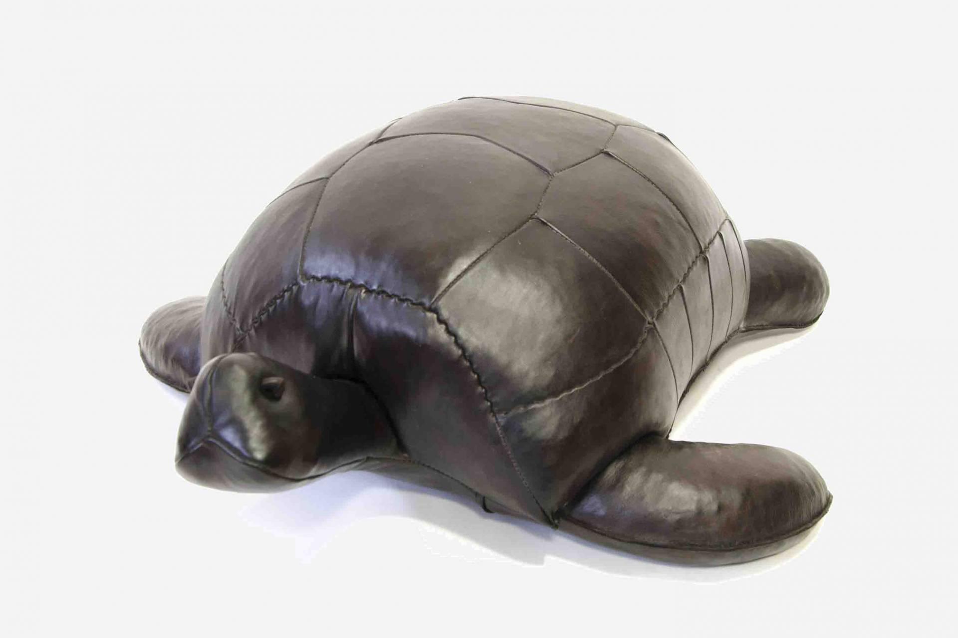 Omersa-Turtle-1