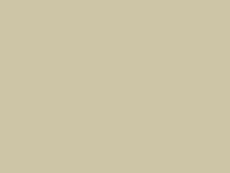 102 - Beige